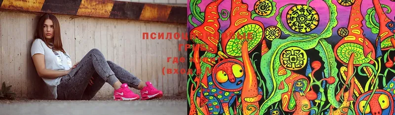 Галлюциногенные грибы MAGIC MUSHROOMS Дно